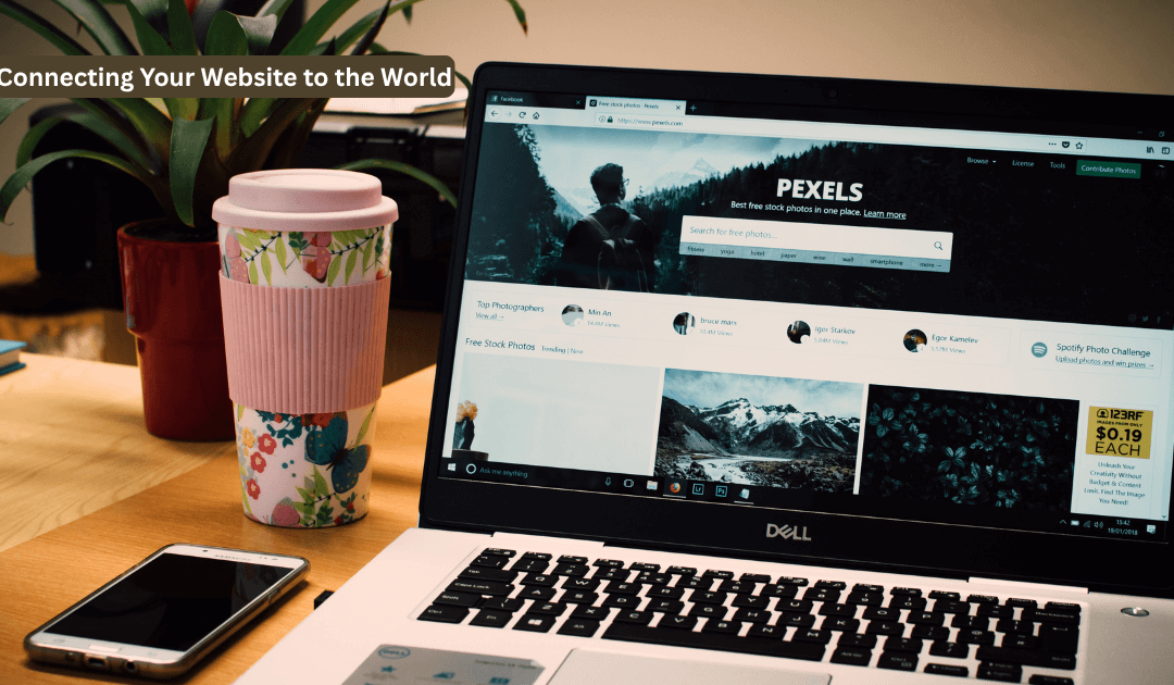 The Power of APIs: Connecting Your Website to the World